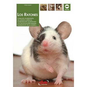 Los ratones: La elección,...
