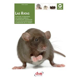 Las ratas: La elección, el...