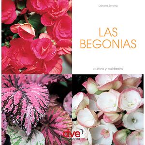 Las begonias