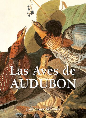 Las Aves de Audubon