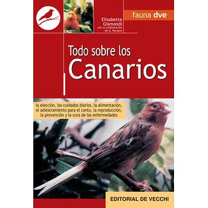 Todo sobre canarios