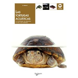 Las tortugas acuáticas