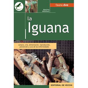 La iguana