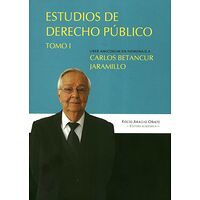 Estudios de derecho público