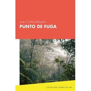 Punto de fuga
