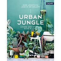 Urban Jungle
