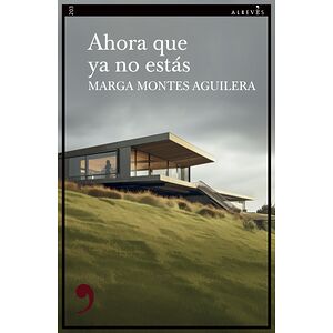Ahora que ya no estás