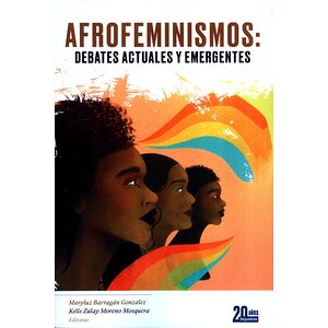 Afrofeminismos: debates...