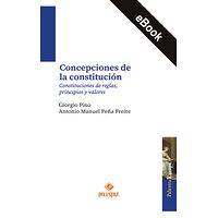 Concepciones de la...