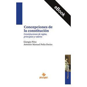 Concepciones de la...