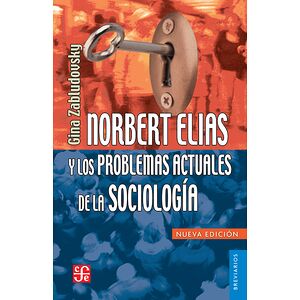 Norbert Elías y los...