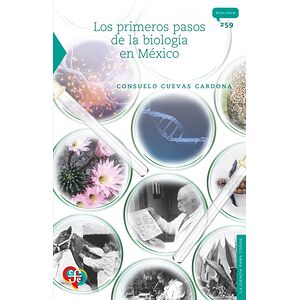 Los primeros pasos de la...