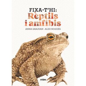Fixa-t'hi: rèptils i amfibis
