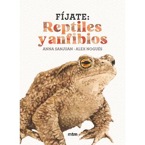 Fíjate: reptiles y anfibios