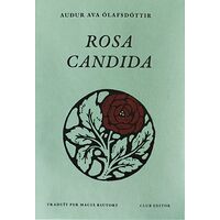 Rosa candida