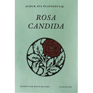 Rosa candida