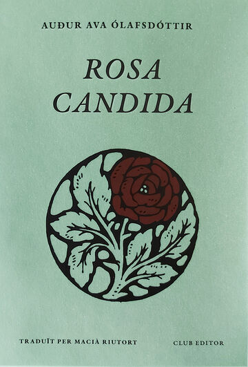 Rosa candida