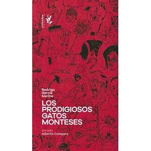 Los prodigiosos gatos monteses