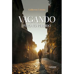 Vagando pero no perdido