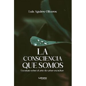 La consciencia que somos