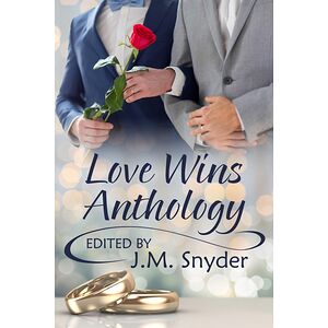 Love Wins Anthology