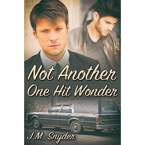 Not Another One Hit Wonder