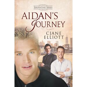 Aidan's Journey