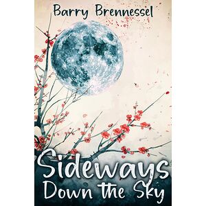 Sideways Down the Sky