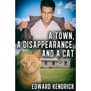 A Town, a Disappearance,...