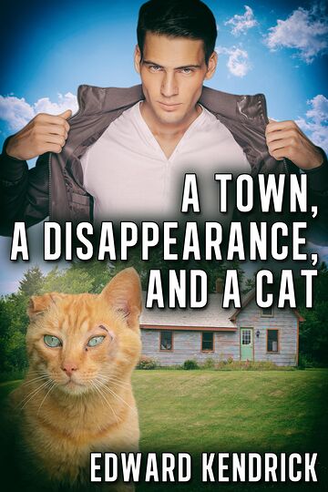 A Town, a Disappearance,...