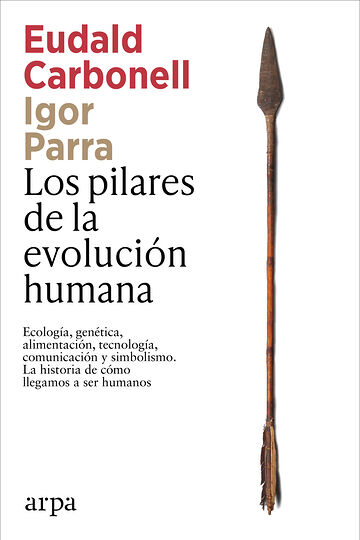 Los pilares de la evolución...