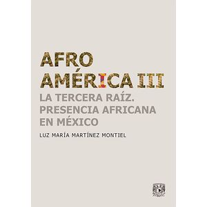 Afroamérica III La tercera...