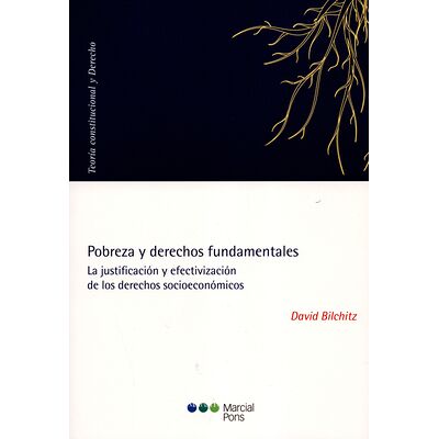 Pobreza y derechos...
