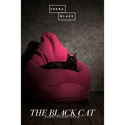 The Black Cat