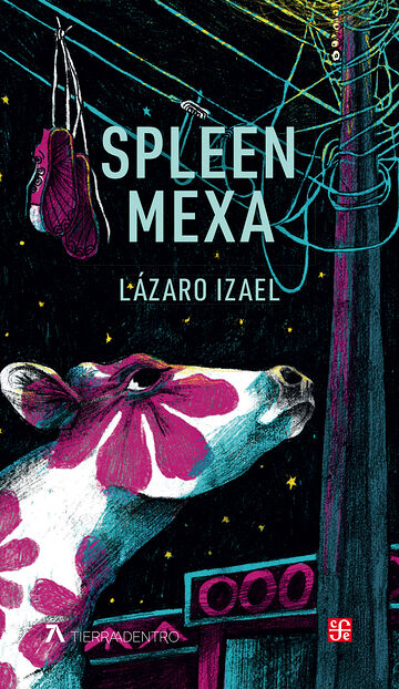 Spleen mexa