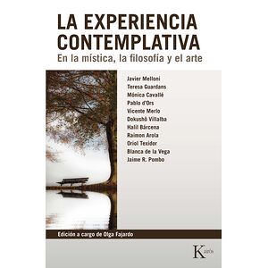 La experiencia contemplativa