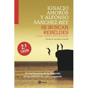 Se buscan rebeldes