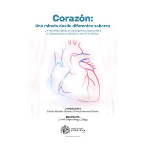 Corazón: una mirada desde...