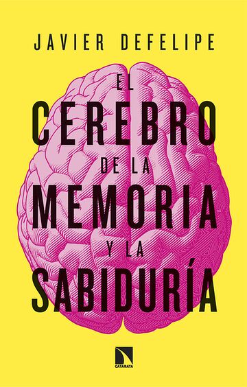 El cerebro de la memoria y...
