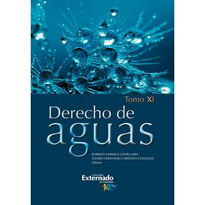 Derecho de aguas. Tomo XI....