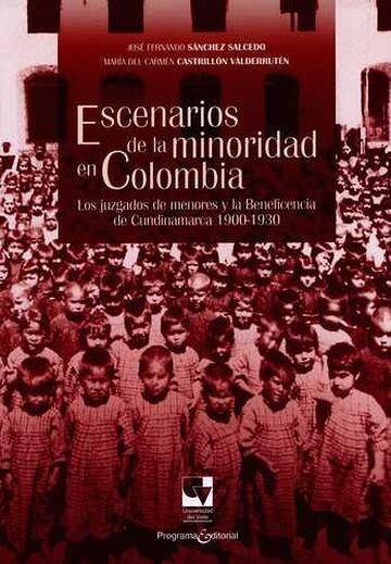 Escenarios de la minoridad...