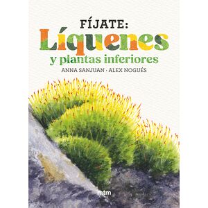 Fíjate: líquenes y plantas...
