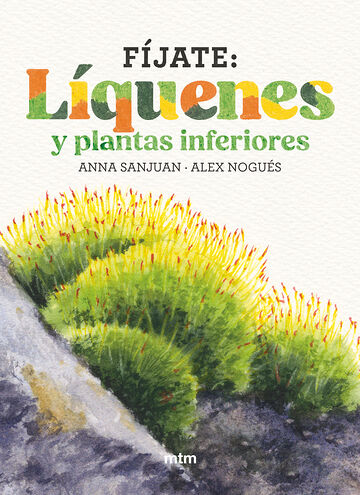 Fíjate: líquenes y plantas...