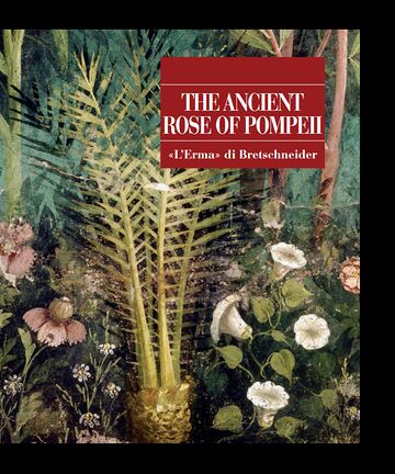 The Ancient Rose of Pompeii