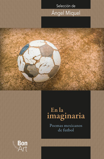 En la imaginaria: poemas...