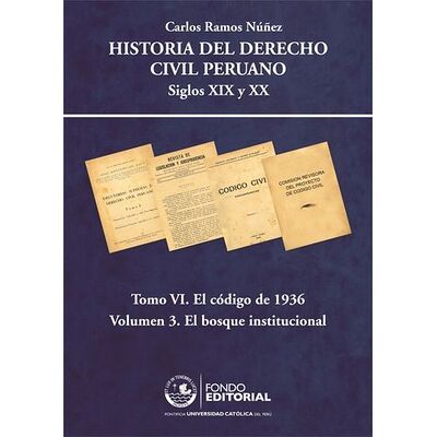 Historia del derecho civil...
