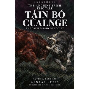 The Ancient Irish Epic Tale...