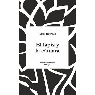 El lápiz y la cámara