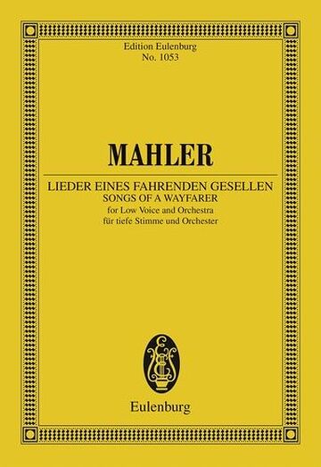 Lieder eines fahrenden...