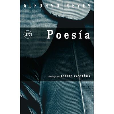 Poesía